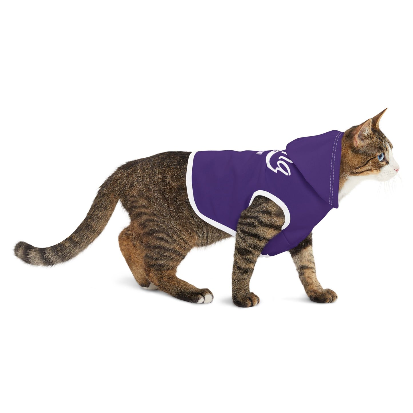 999Na Collections Classic Cat Dog Hoodie