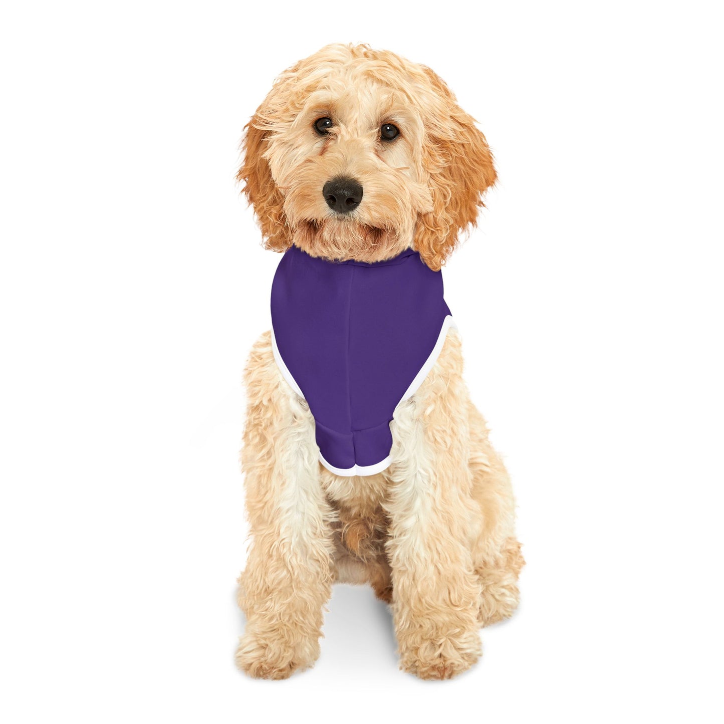 999Na Collections Classic Cat Dog Hoodie